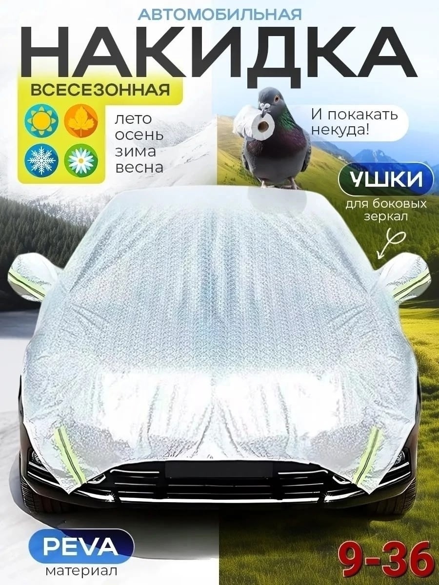 219.jpg